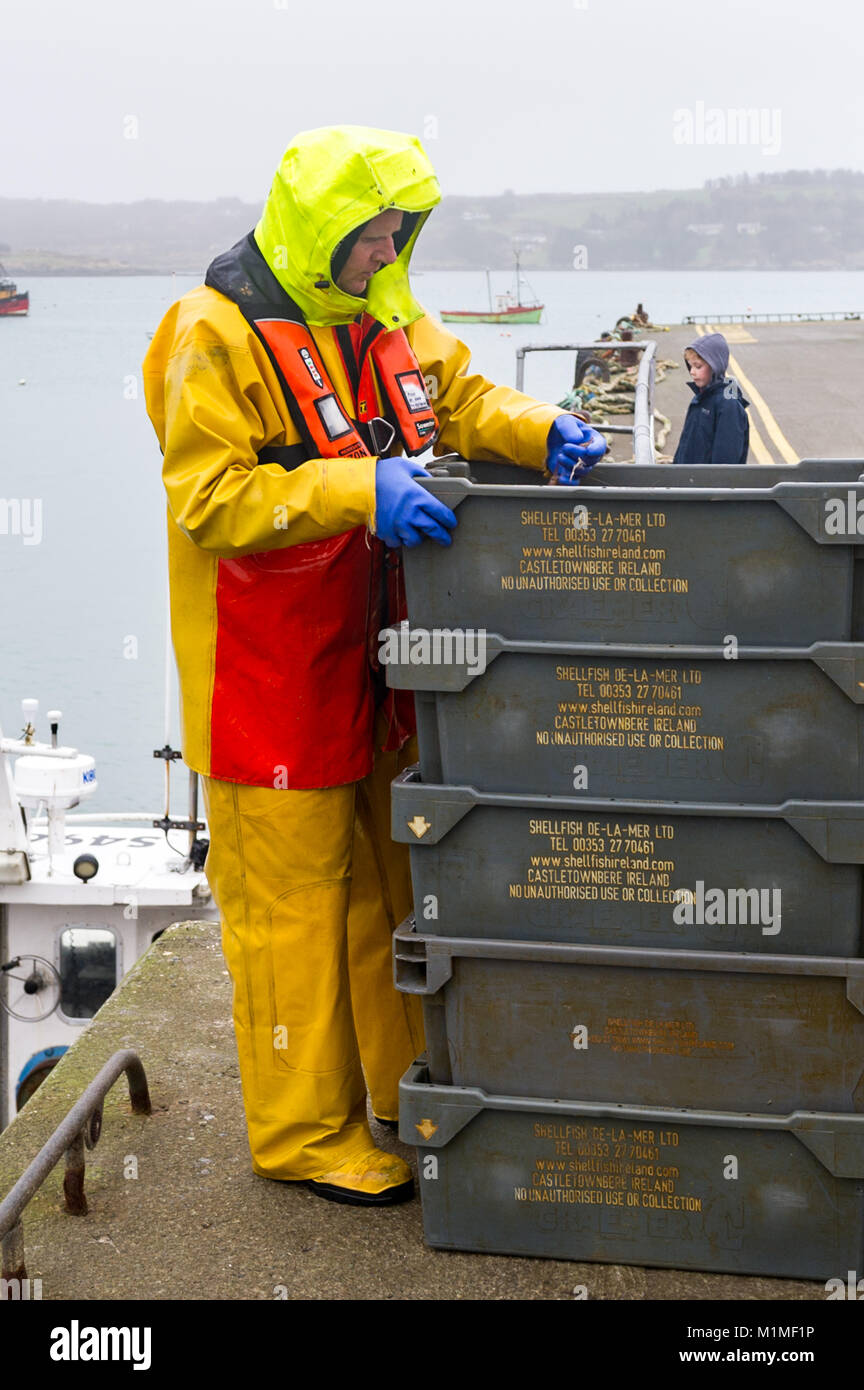 Fisherman controlla il suo carico di gamberetti sul molo banchinato quay nel porto di Schull, County Cork, Irlanda con copia spazio. Foto Stock