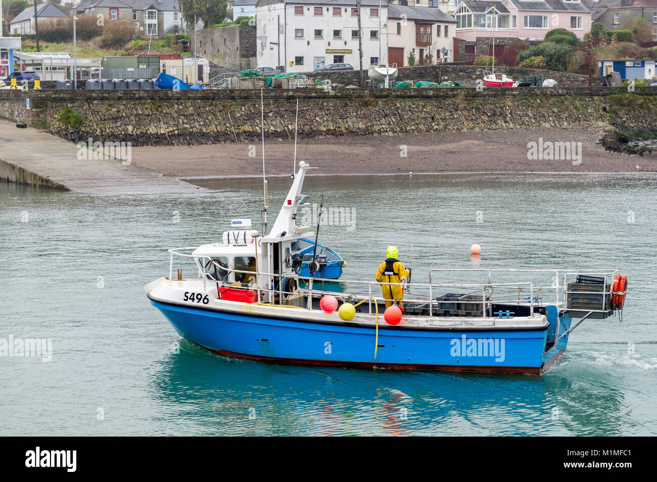Piccola barca da pesca si avvicina il dock in Schull, County Cork, Irlanda con un volume di catture di gamberi con copia spazio. Foto Stock