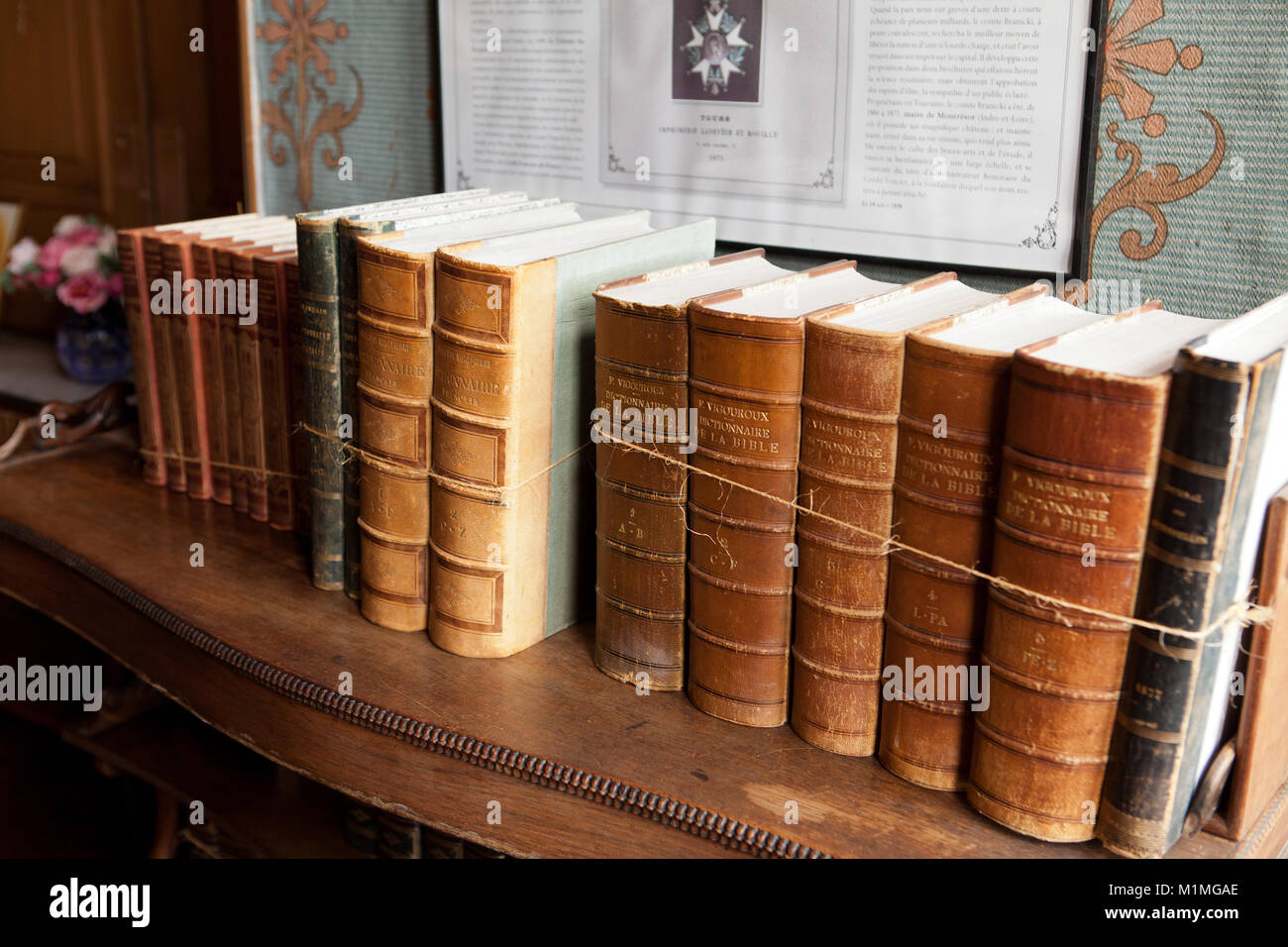 Vintage di libri in diverse sfumature di colore nella libreria nel castello Montresor. Valle della Loira, Francia Foto Stock