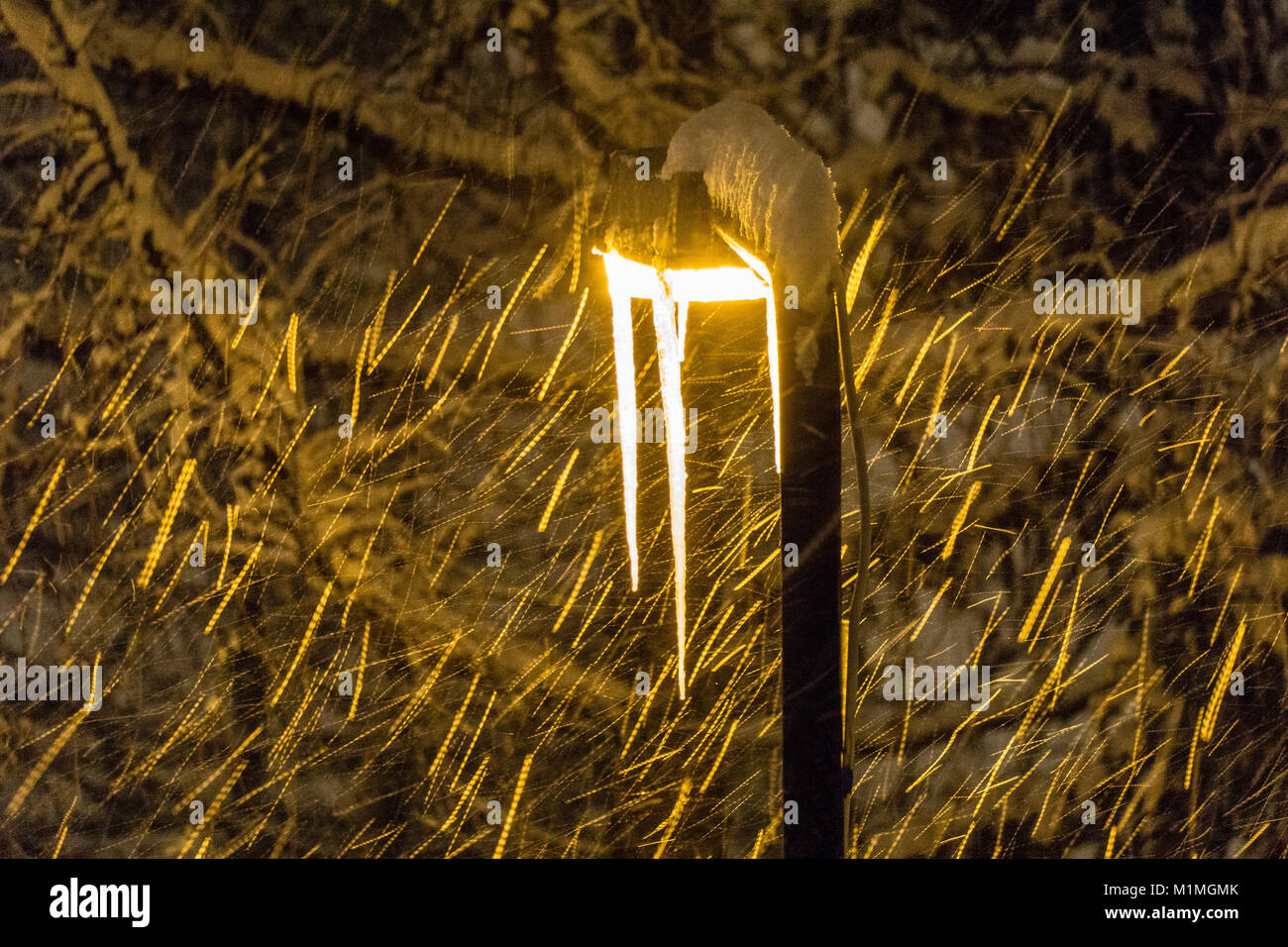 Icicle illuminato su un lampione. Foto Stock