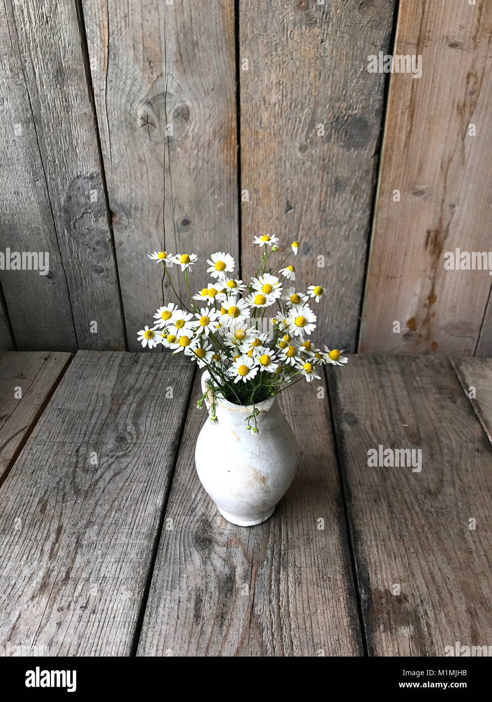 Vaso riempito di margherite su un tavolo di legno Foto Stock