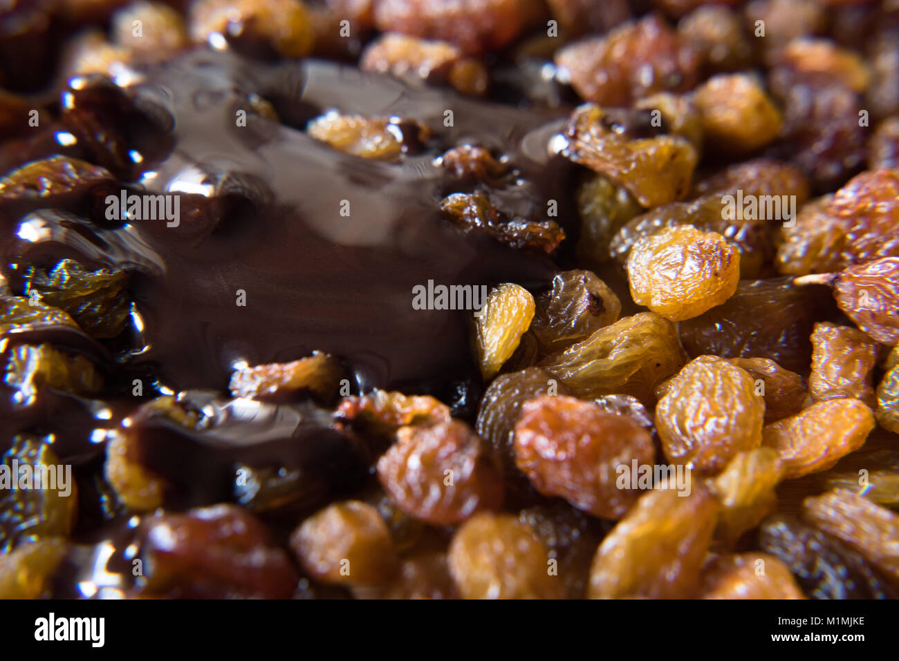 Pila di uvetta ricoperti di cioccolato fuso. cibo sano concetto Foto Stock