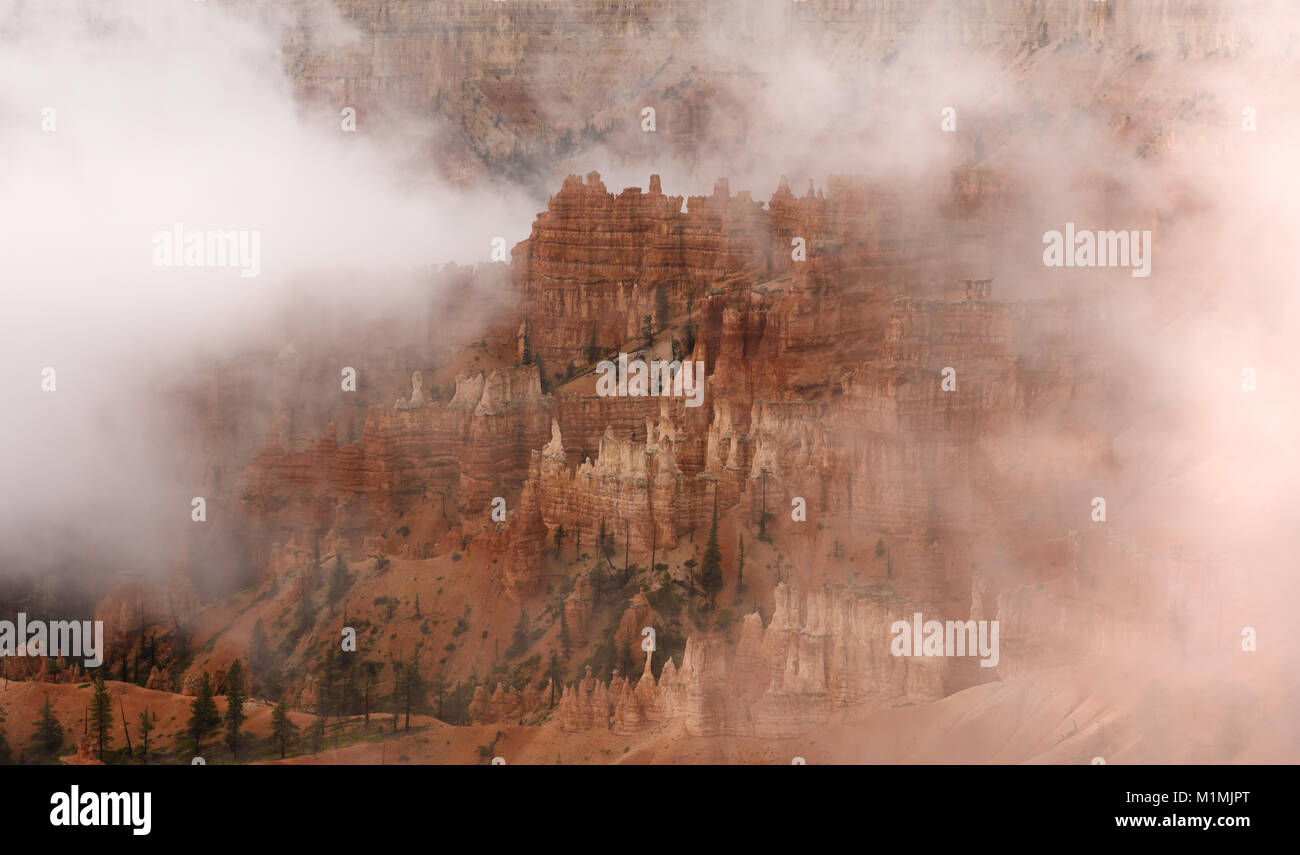 Bryce Canyon a Mist, Utah, Stati Uniti Foto Stock