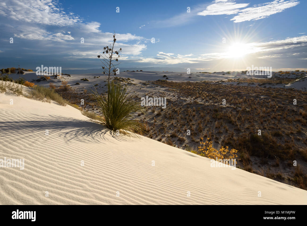 Paesaggio desertico, White Sands National Monument, New Mexico, Stati Uniti Foto Stock