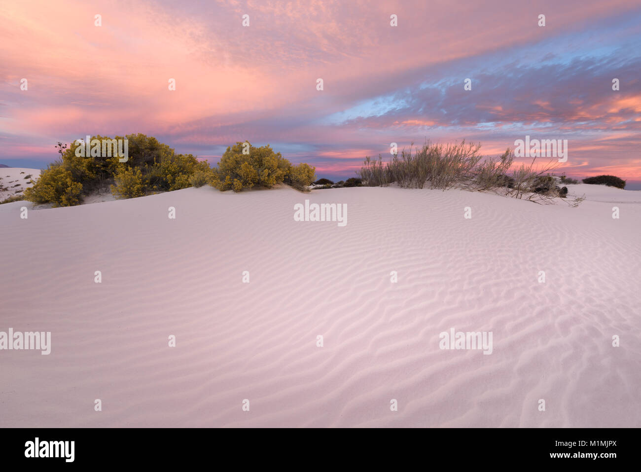 Paesaggio desertico, White Sands National Monument, New Mexico, Stati Uniti Foto Stock