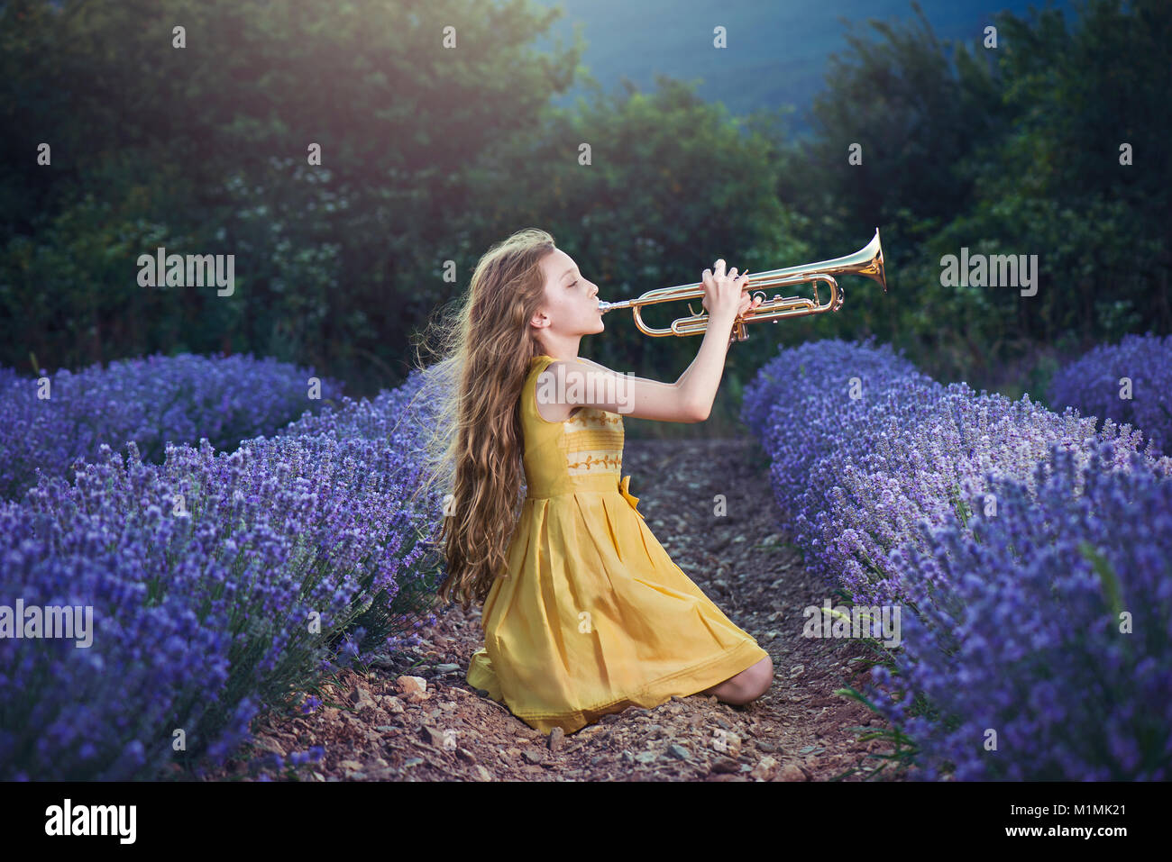 Ragazza seduta in un campo di lavanda suonare la tromba Foto Stock