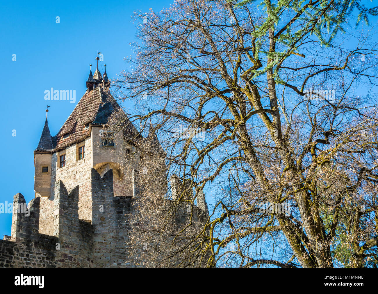 Castello d'Enna (Schloss Enn in tedesco): Vista panoramica dell'imponente castello situato su una collina sopra montagna in Alto Adige, Bolzano, Italia Foto Stock