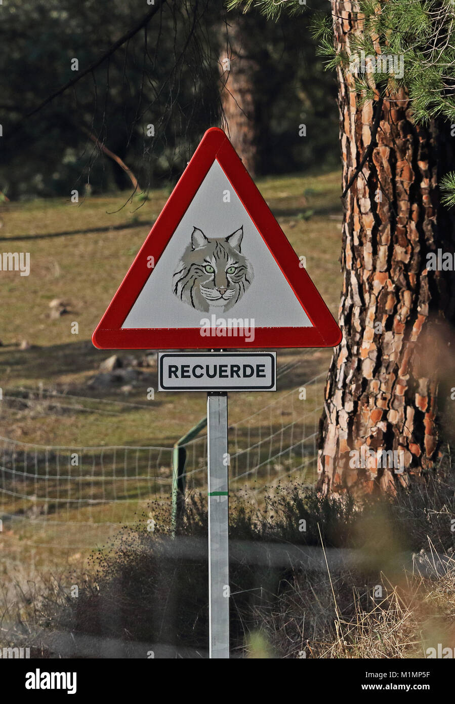 Lince iberica cartello di avviso per i conducenti ad essere consapevoli del Parque Natural Sierra de Andujar, Jaen, Spagna gennaio Foto Stock