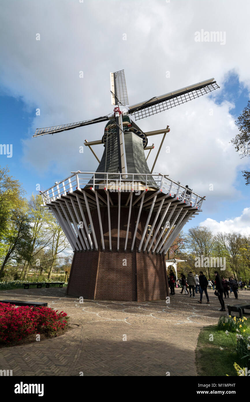 A 100 anni vecchio mulino a vento olandese in Keukenhof a Lisse nel sud dell'Olanda. I visitatori possono salire all'esterno piattaforma per una vista fantastica del th Foto Stock