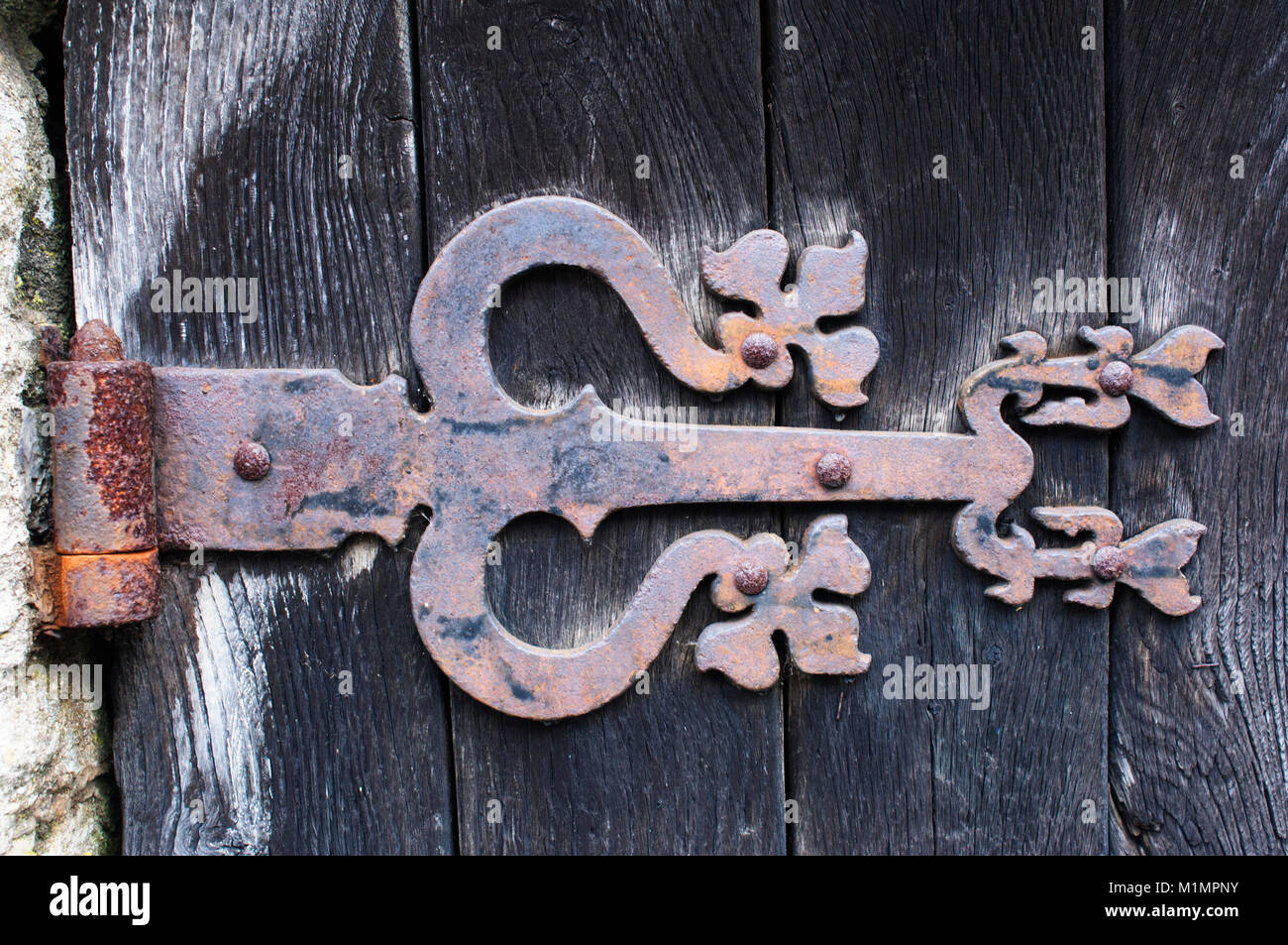Un vecchio legno porta medievale ornato di cerniere - Giovanni Gollop Foto Stock