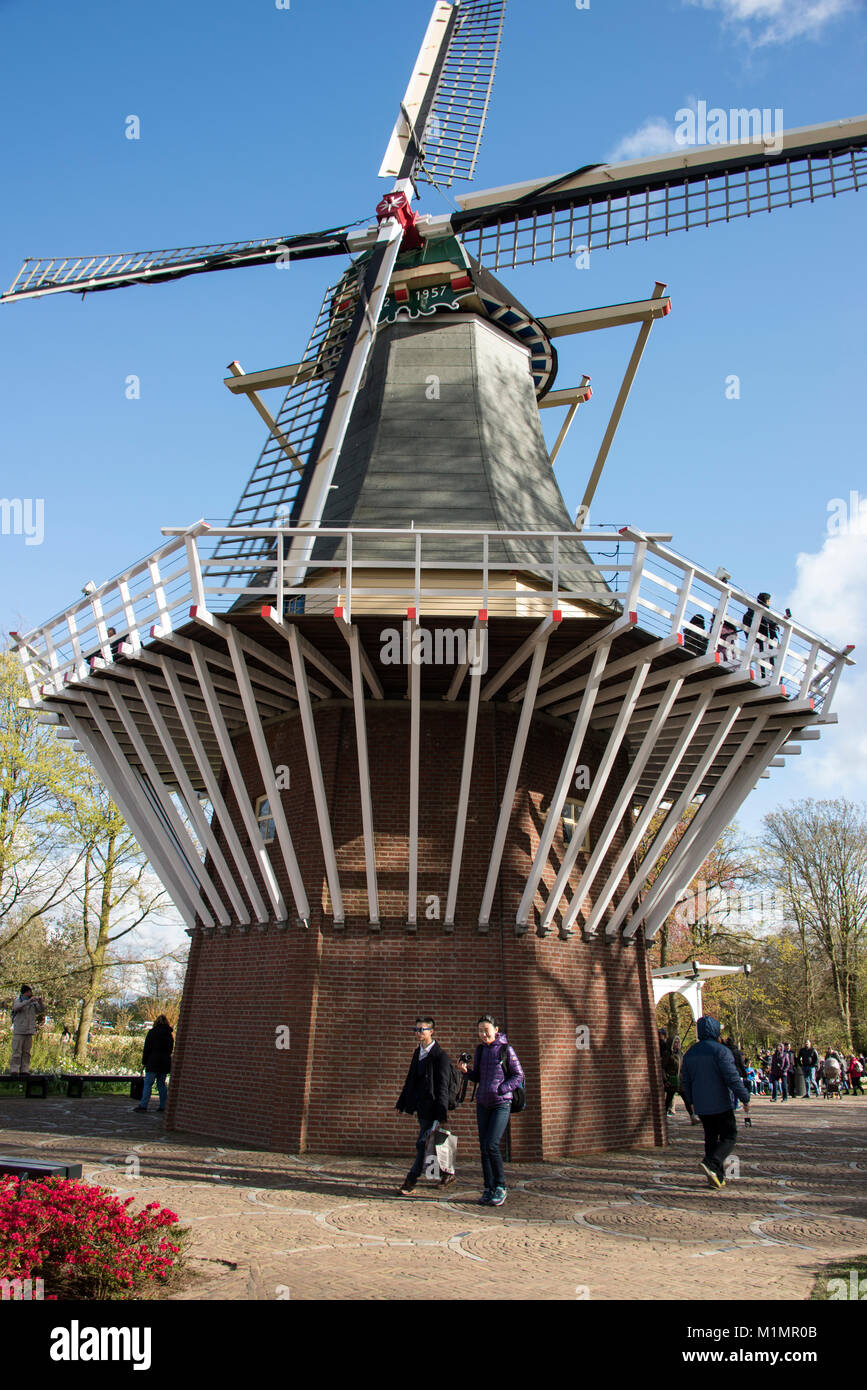 Un mulino a vento olandese nei Giardini Keukenhof a Lisse nel sud dell'Olanda. I visitatori possono salire all'esterno piattaforma per una vista fantastica del tul Foto Stock