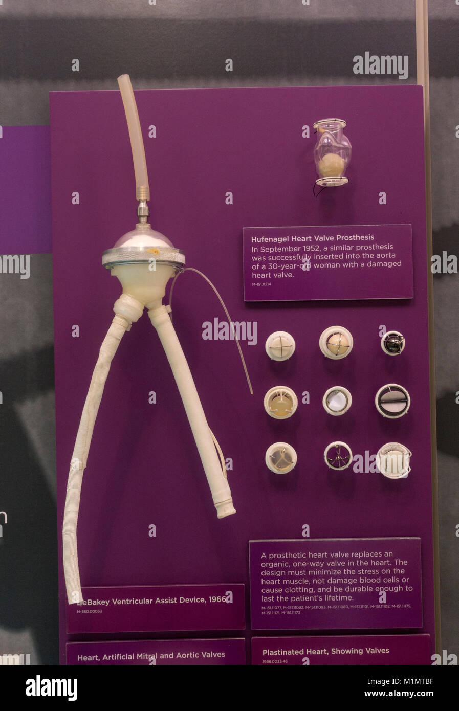 Un DeBakey Ventricular Assist Device (1966) in mostra al Museo Nazionale della Salute e della medicina, Silver Spring, MD, Stati Uniti d'America. Foto Stock