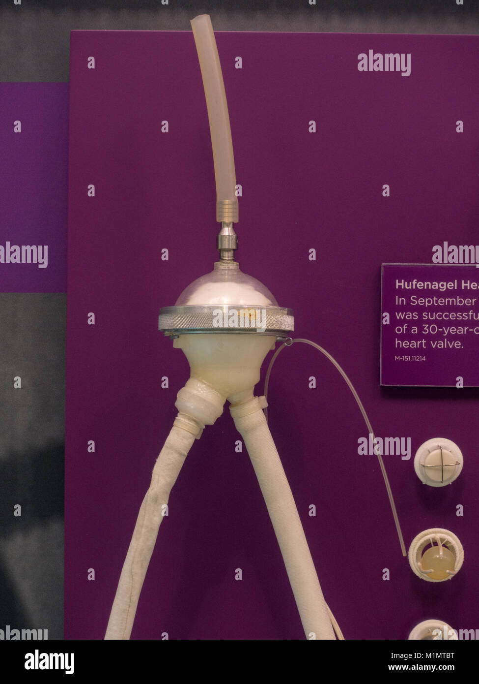 Un DeBakey Ventricular Assist Device (1966) in mostra al Museo Nazionale della Salute e della medicina, Silver Spring, MD, Stati Uniti d'America. Foto Stock