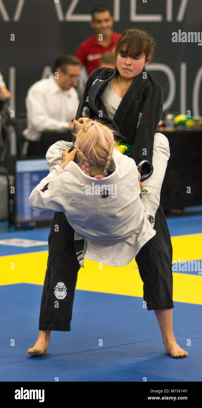 Il brasiliano di jiu-jitsu concorrenza, Nordic Open 2017 Foto Stock