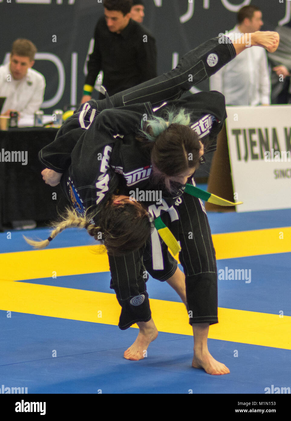Il brasiliano di jiu-jitsu concorrenza Nordic open Foto Stock