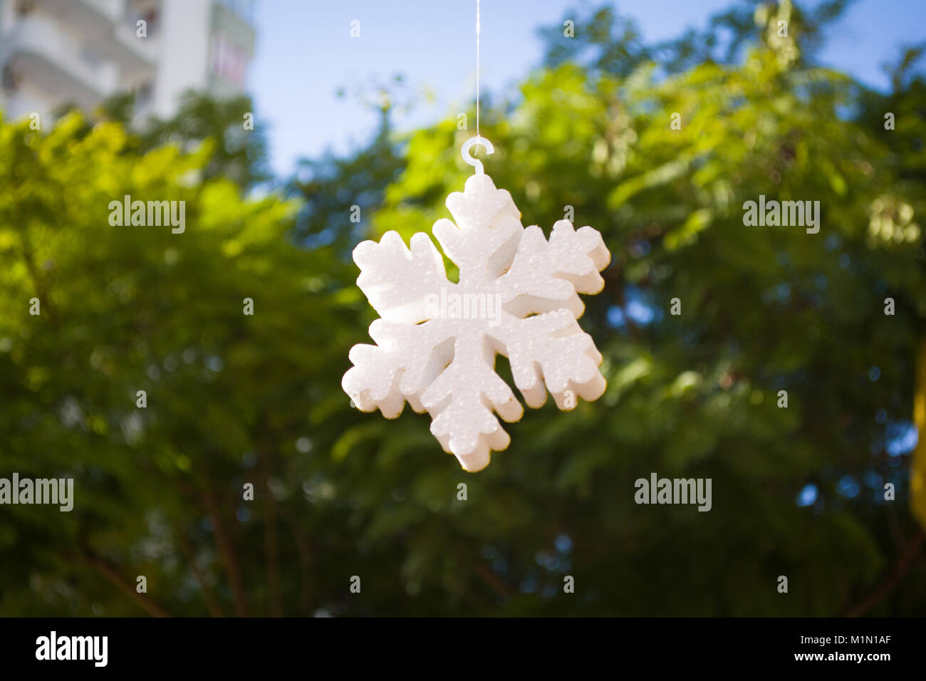 Plastica espansa come neve su albero verde blur sullo sfondo Foto Stock