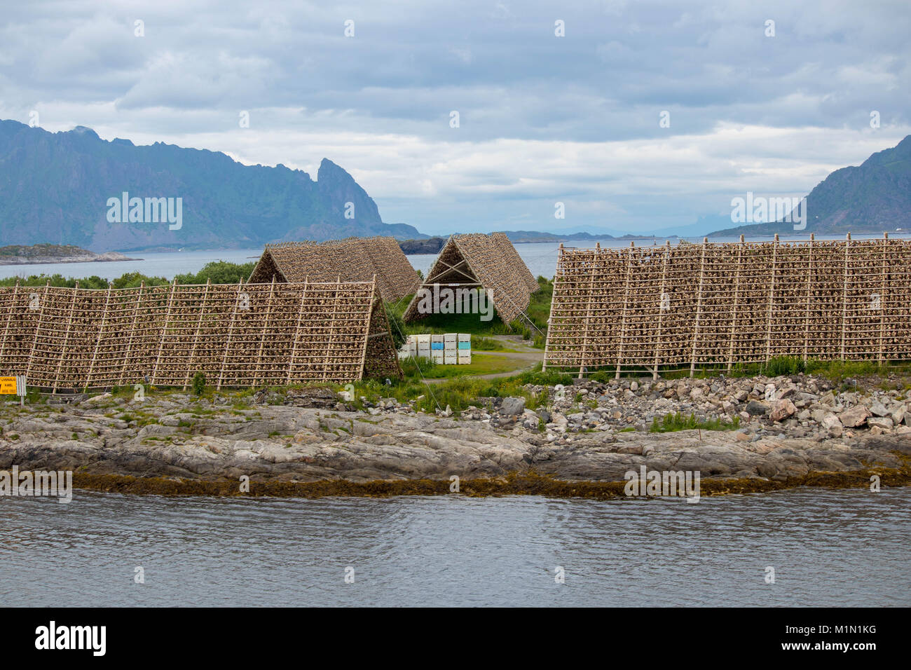 Rastrelliere per l'asciugatura di baccalà nella città di Svolvaer della contea del Nordland, Norvegia. Foto Stock