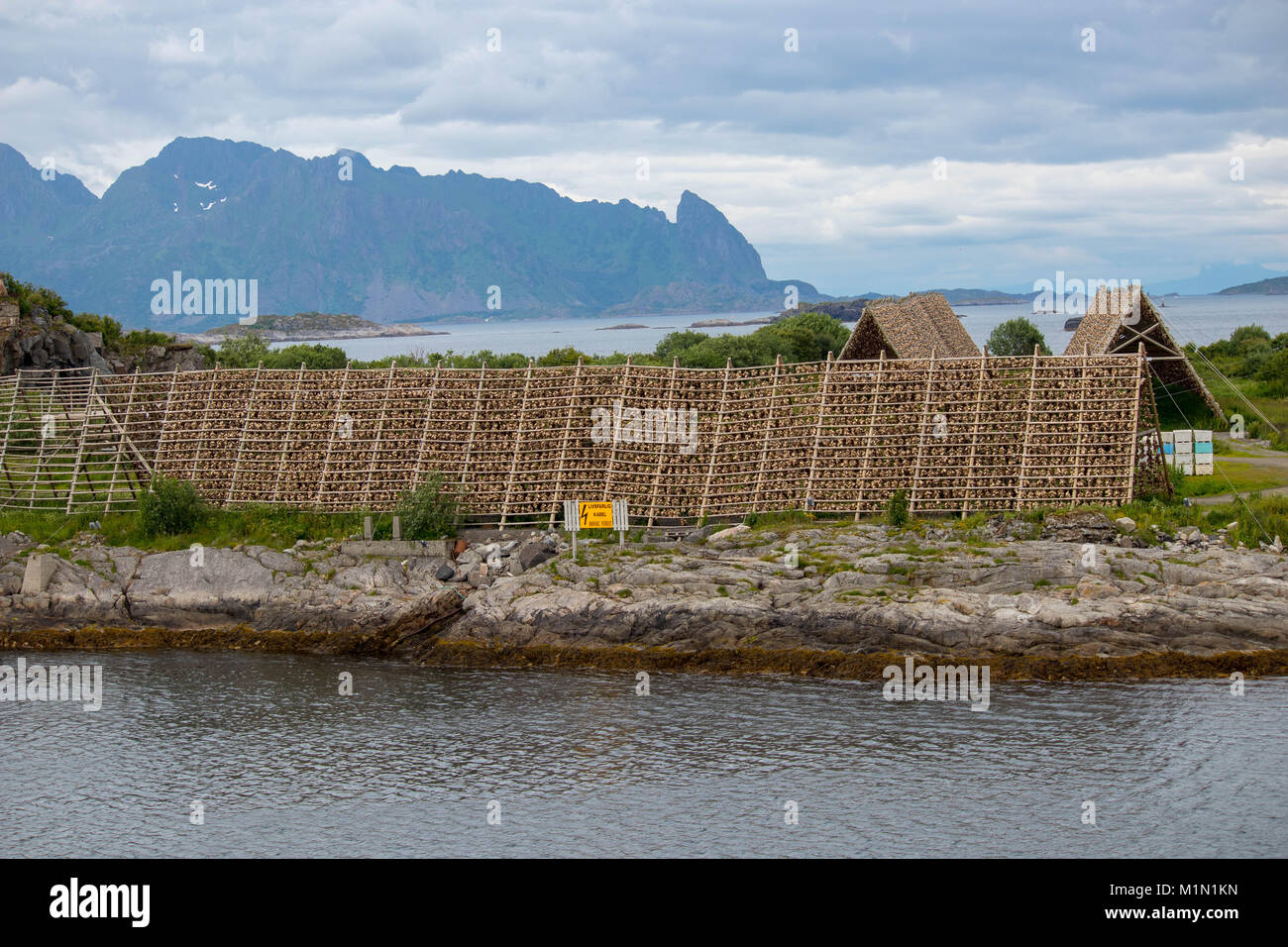 Rastrelliere per l'asciugatura di baccalà nella città di Svolvaer della contea del Nordland, Norvegia. Foto Stock