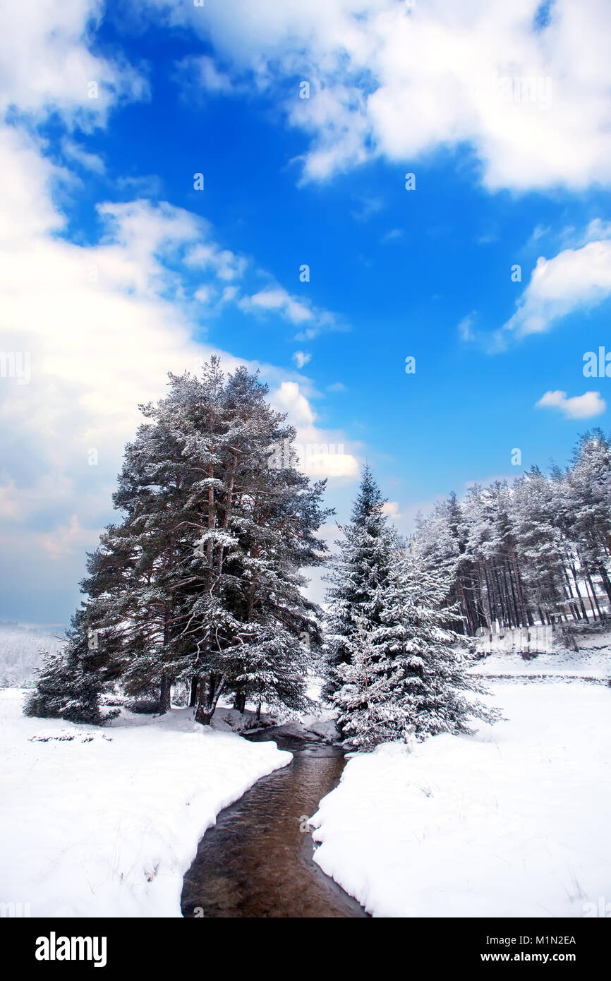 Verticale paesaggio invernale con il freddo ruscello di montagna e diversi alberi coperti di neve Foto Stock