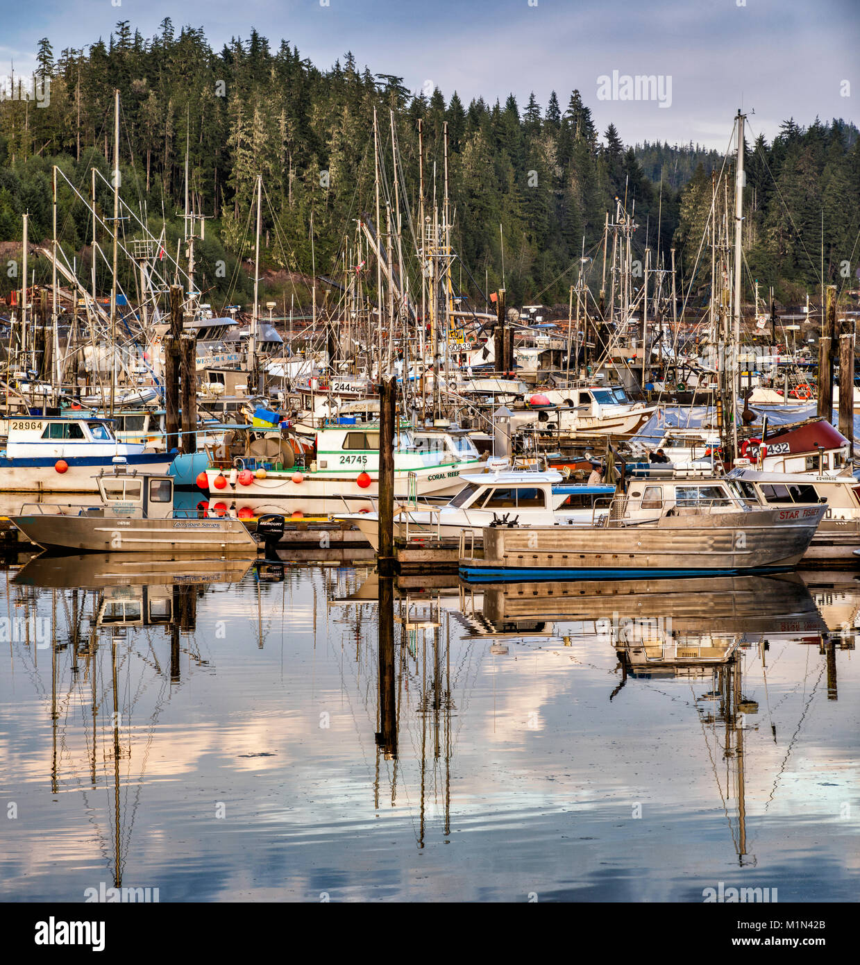 Barche da pesca Fisherman Wharf in Port Hardy, Nord Isola di Vancouver, British Columbia, Canada Foto Stock