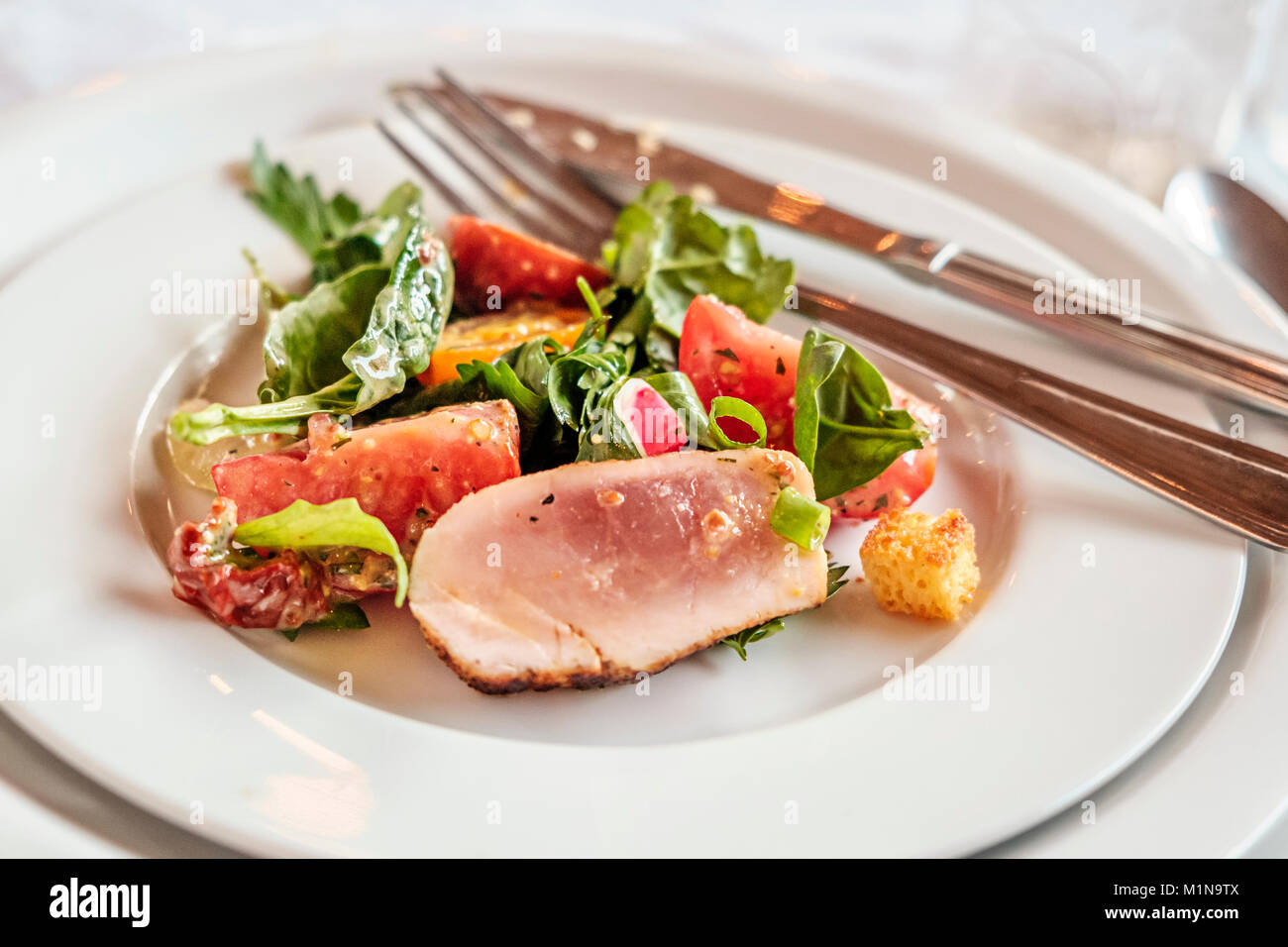 Tonni albacora di panzanella insalata con grigliate di cipolle rosse, sedano, prezzemolo e granulosa medicazione di senape Foto Stock