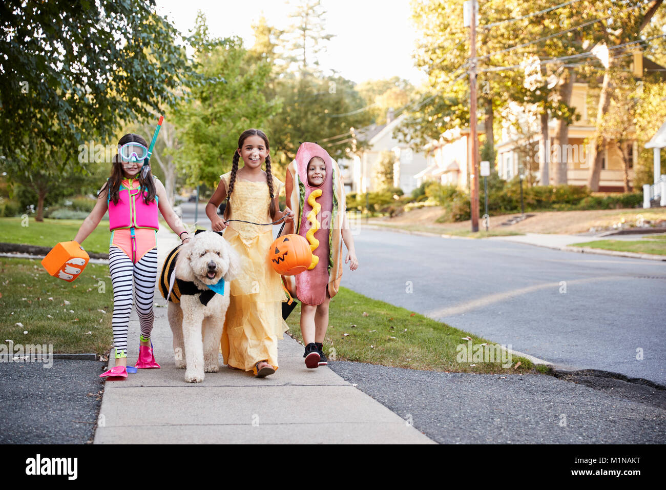 I bambini e il cane in costumi di Halloween per il trucco o il trattamento Foto Stock