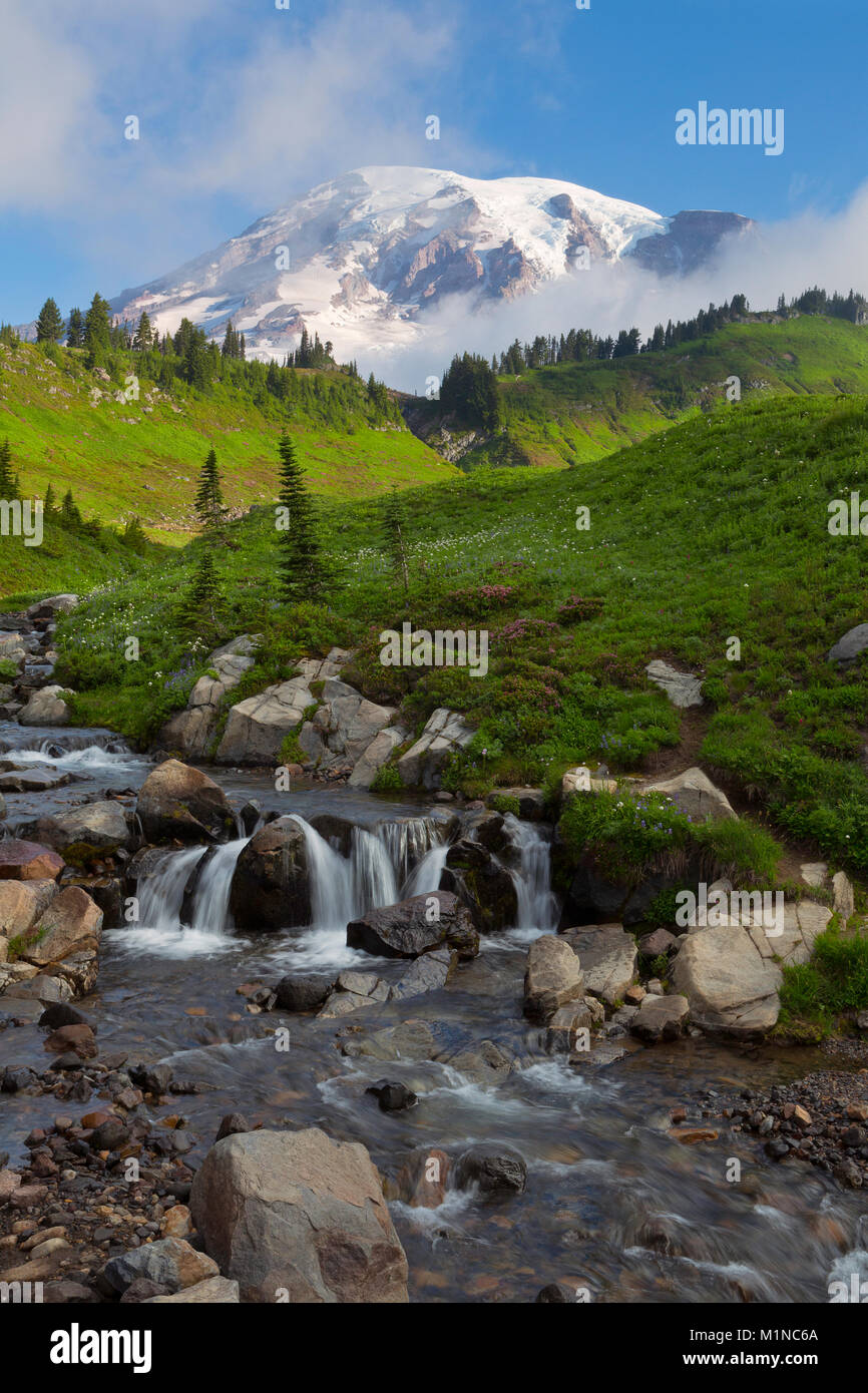 Una vista di Edith Creek e i prati del Monte Rainier in Mount Rainier National Park. Washington. L'estate. Stati Uniti d'America Foto Stock