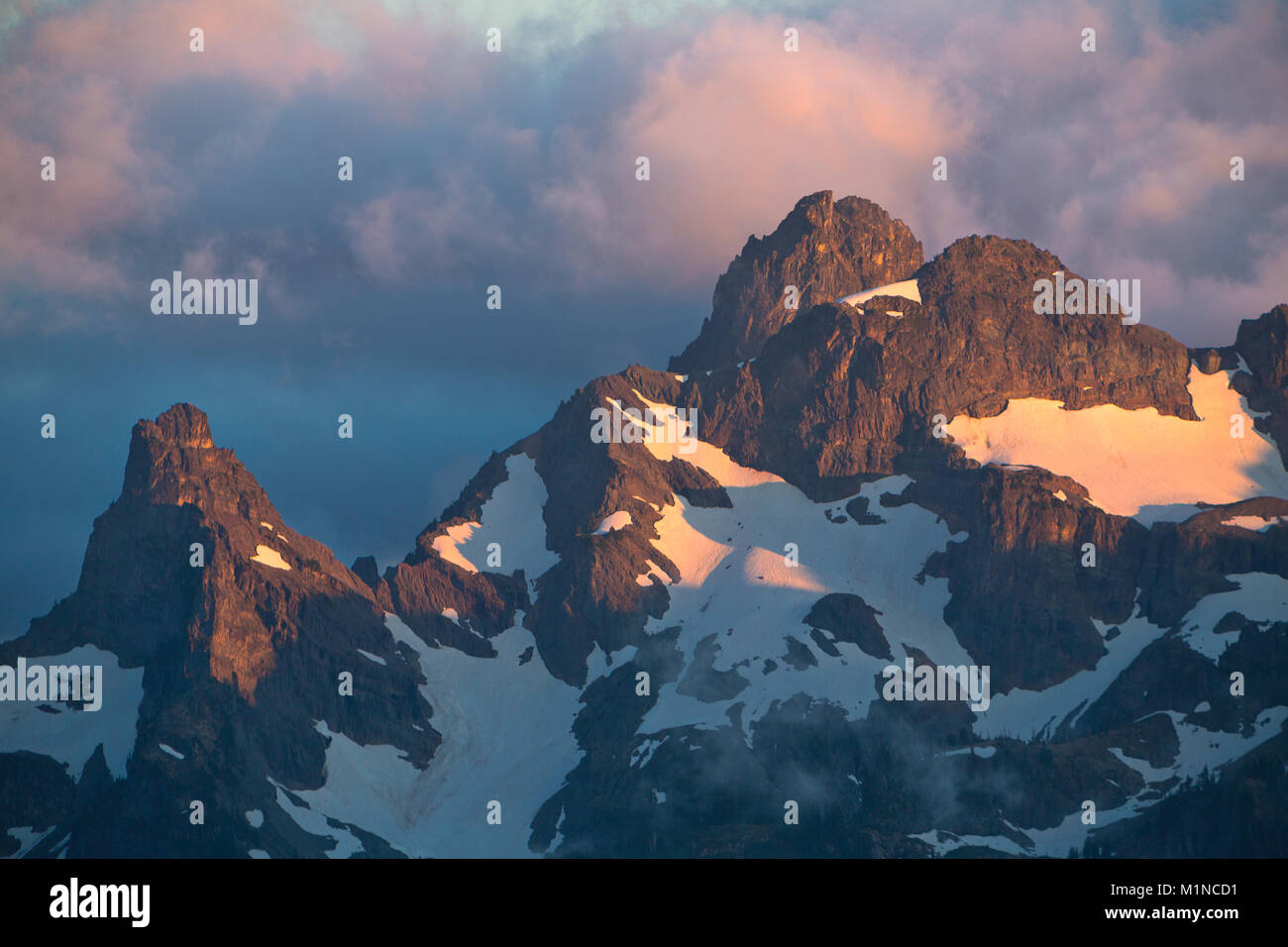 Una vista di Goat Island in montagna a partire dalla zona di Sunrise in Mount Rainier National Park in Washington. Stati Uniti d'America. L'estate. Foto Stock