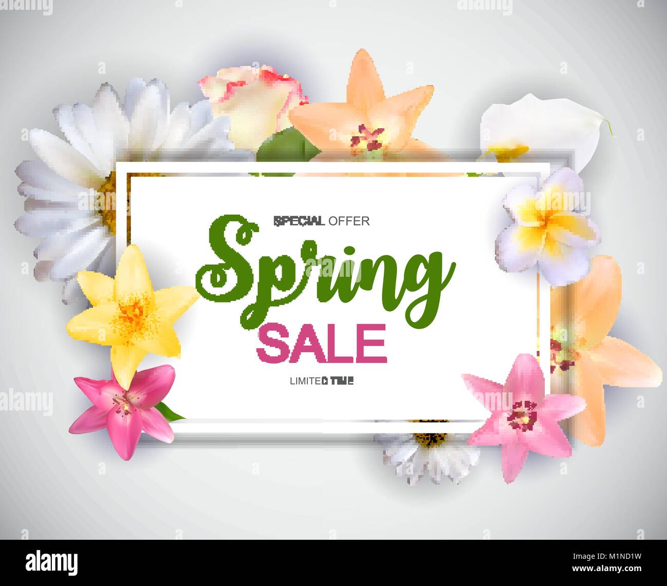 La molla vendita carino sfondo con fiori colorati in elementi. Illustrazione Vettoriale Illustrazione Vettoriale