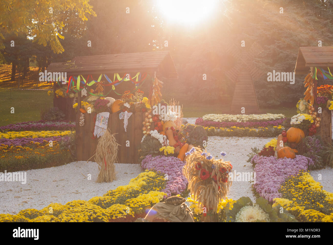D'autunno bella composizione in un parco di fiori e verdure. Foto Stock
