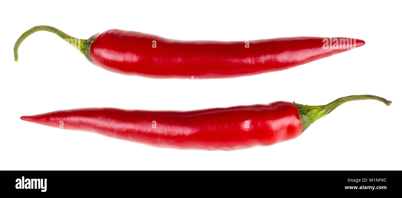 Una sana Red Hot Chili Peppers. Due peperoni piccanti medicinali contenenti capsaicina. Isolato su uno sfondo bianco. Foto Stock