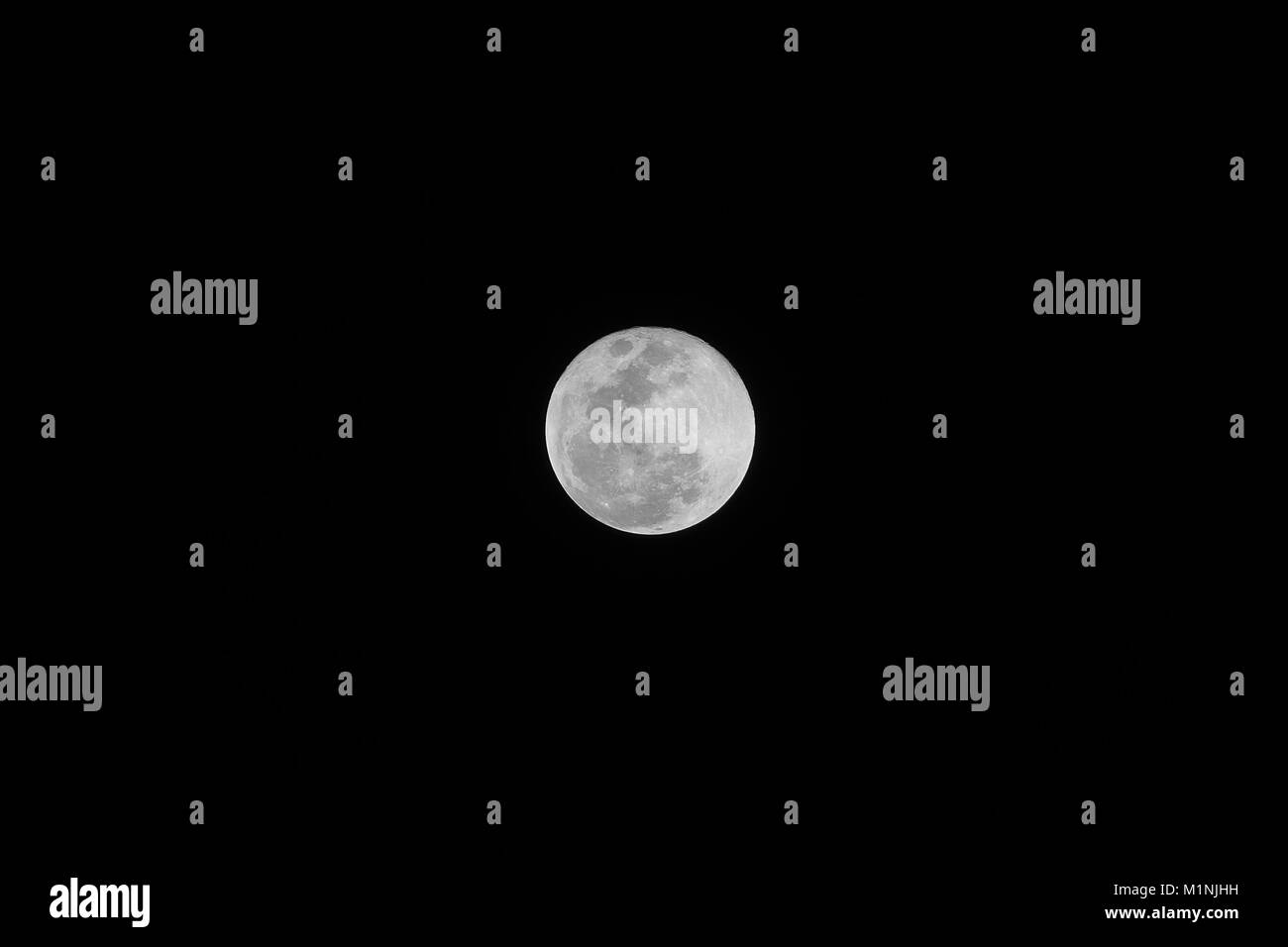 Dettagliata Supermoon completo (perigeo syzygy) 31 gennaio 2018, come si vede da Stuart, Martin County, Florida, Stati Uniti d'America, Nord America, Emisfero Occidentale Foto Stock