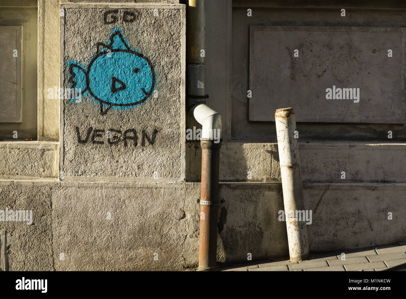 Go Vegan graffiti - vegane arte di strada in Serbia, a Belgrado, l'Europa. Foto Stock