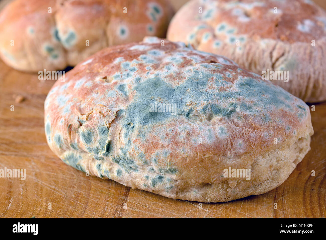 Ammuffito cibo immangiabile. Stampo su rotoli di pane. Foto Stock