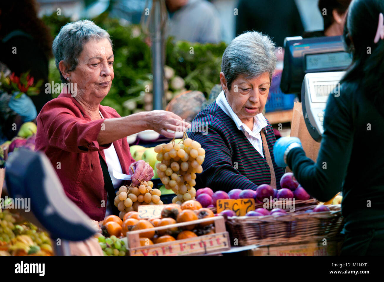 Locali di clienti che acquistano uve a Campo de' Fiori farmers market, Piazza Campo de' Fiori, Roma, Italia Foto Stock