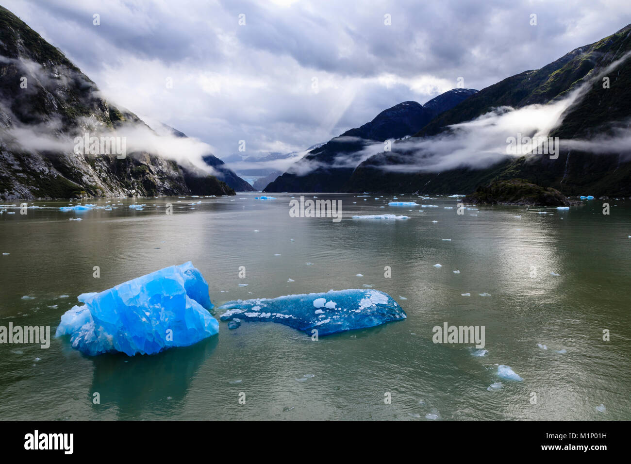 Spettacolare Tracy Arm Fjord, blu brillante iceberg e retroilluminati nebbia di clearing, montagne e Sud Sawyer Glacier, Alaska, Stati Uniti d'America, America del Nord Foto Stock
