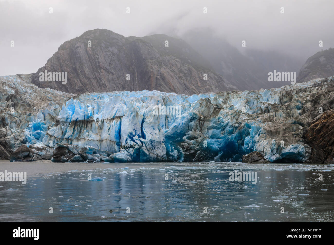 Blue Ice faccia e ghiaccio galleggiante, Sawyer dei ghiacciai e montagne, misty condizioni, Stikine Icefield, Tracy Arm Fjord, Alaska, Stati Uniti d'America, America del Nord Foto Stock