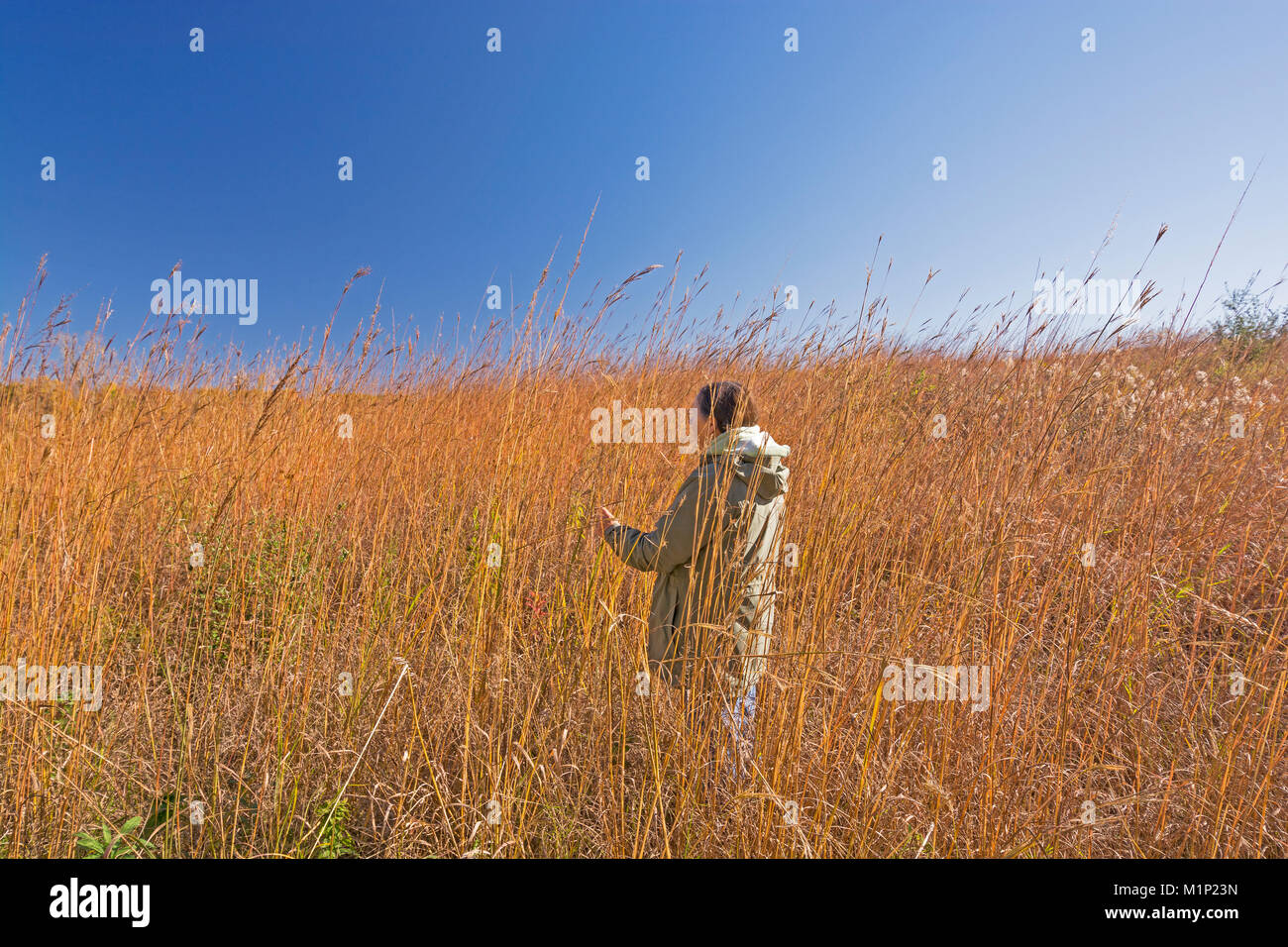 Gli amanti della natura in Alto di prateria di erba a mensole parco dello stato nello Iowa Foto Stock