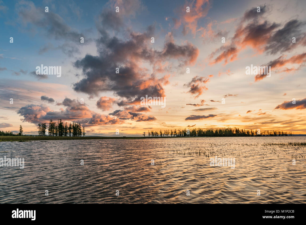 Abeti e nuvole riflettono sul suface del Lago Hovsgol al tramonto, Hovsgol provincia, Mongolia, Asia Centrale, Asia Foto Stock