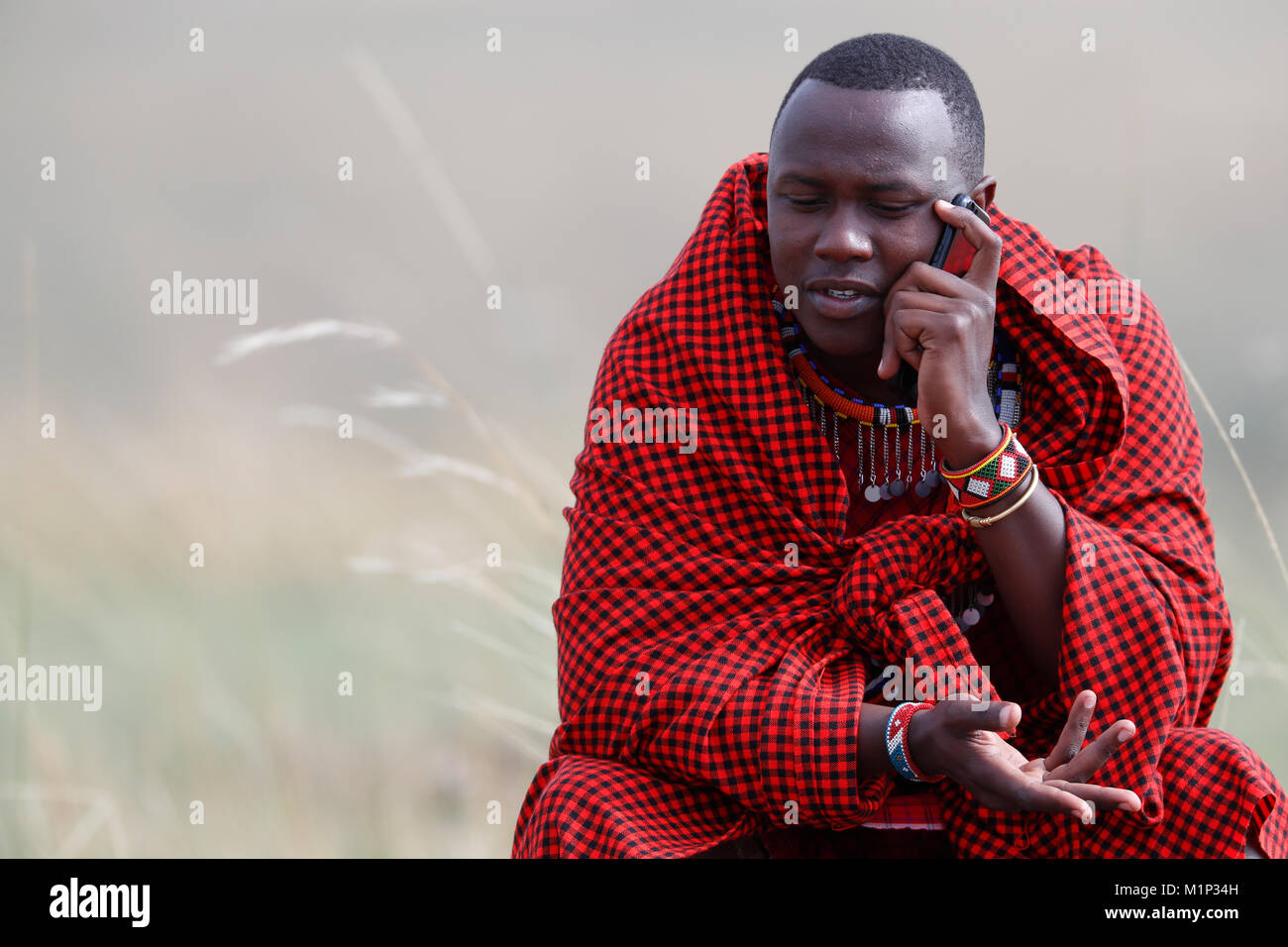 Un uomo Masai a parlare su un telefono cellulare nella savana africana, il Masai Mara Game Reserve. Kenya, Africa orientale, Africa Foto Stock