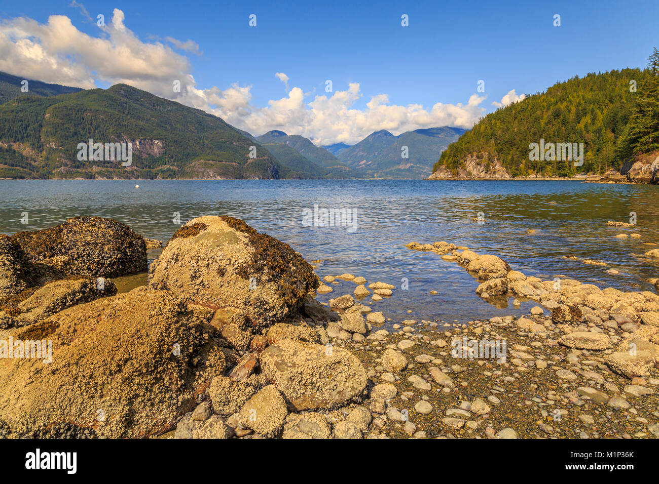 Come il suono da un peloso Creek off Il Sea to Sky Highway vicino Squamish, British Columbia, Canada, America del Nord Foto Stock