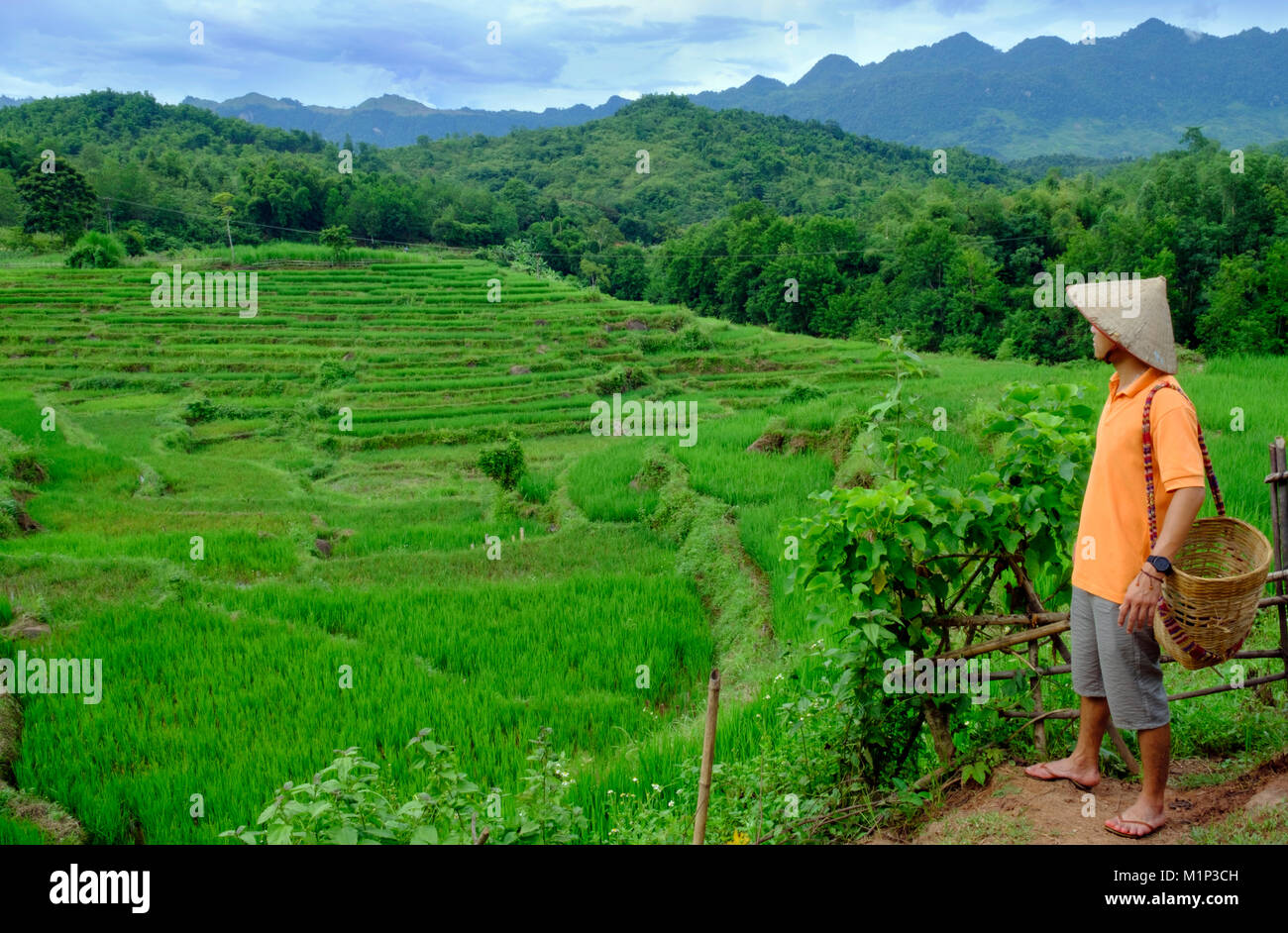L'agricoltore che indossa un cappello conico guardando fuori sul riso paddy terrazze, Mai Chau, Hoa Binh, Vietnam, Indocina, Asia sud-orientale, Asia Foto Stock