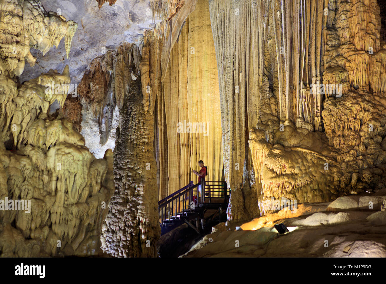 L'interno illuminato di paradiso nella grotta di Phong Nha Ke Bang National Park, Quang Binh, Vietnam, Indocina, Asia sud-orientale, Asia Foto Stock