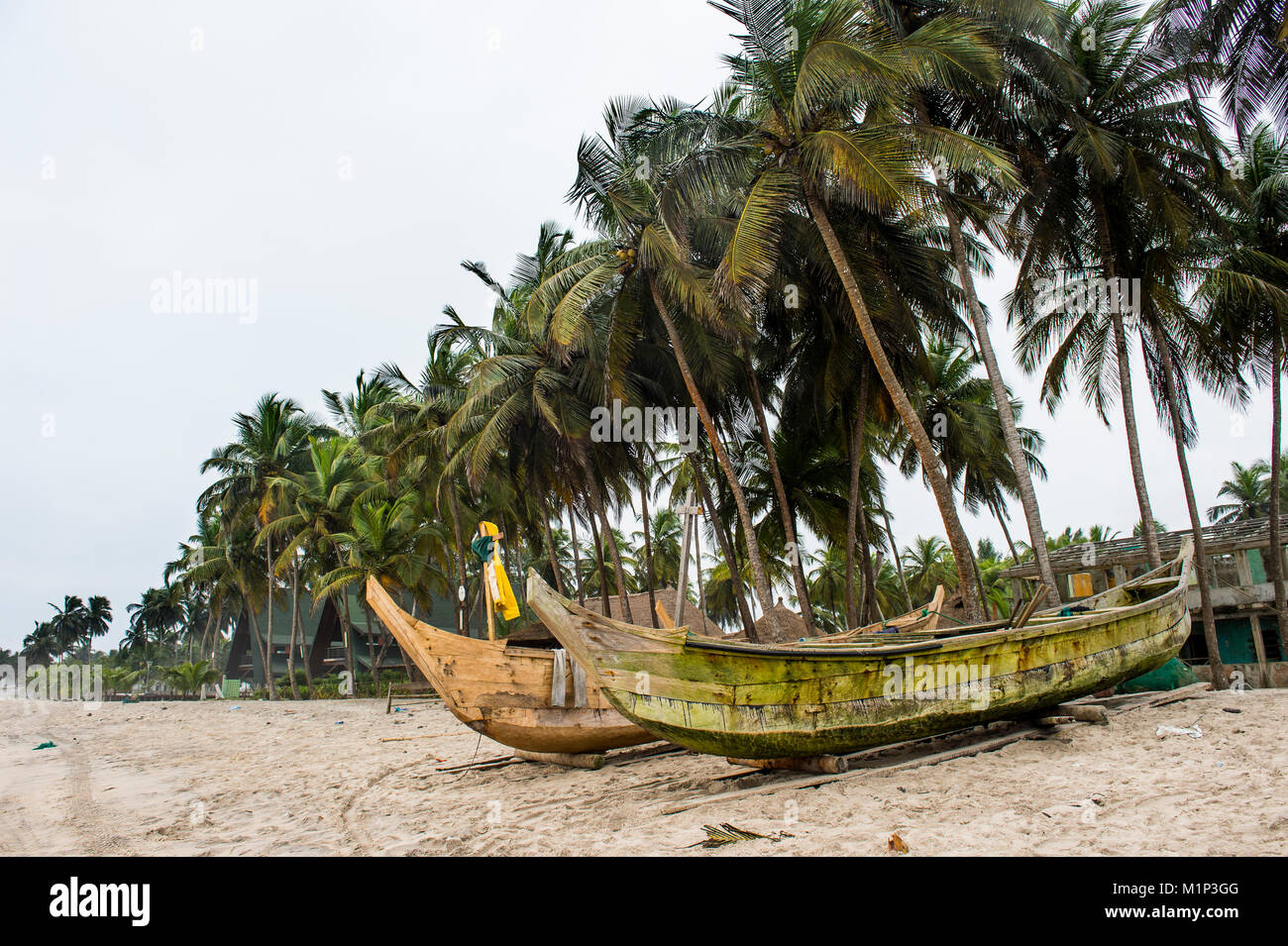 Barche da pesca su una spiaggia orlata di palme in Assinie, Costa d Avorio, Africa occidentale, Africa Foto Stock