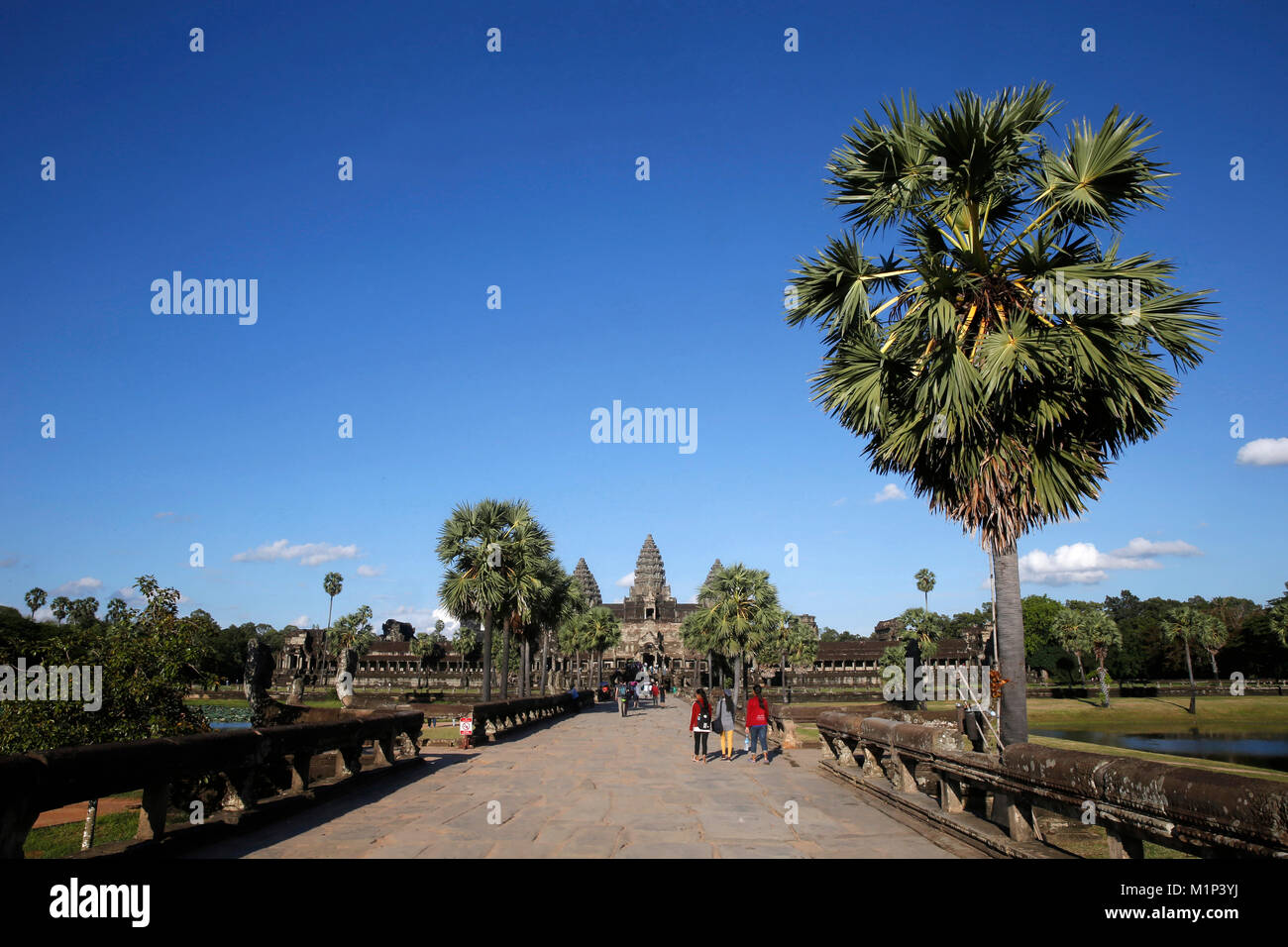 Angkor Wat, Sito Patrimonio Mondiale dell'UNESCO, Siem Reap, Cambogia, Indocina, Asia sud-orientale, Asia Foto Stock