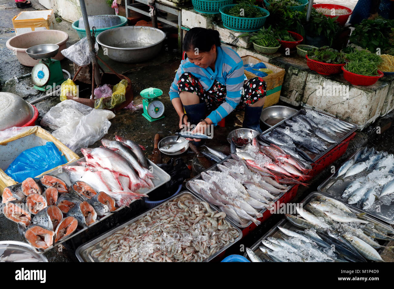 Kon Tum mercato, donna di vendita del pesce, Vietnam, Indocina, Asia sud-orientale, Asia Foto Stock