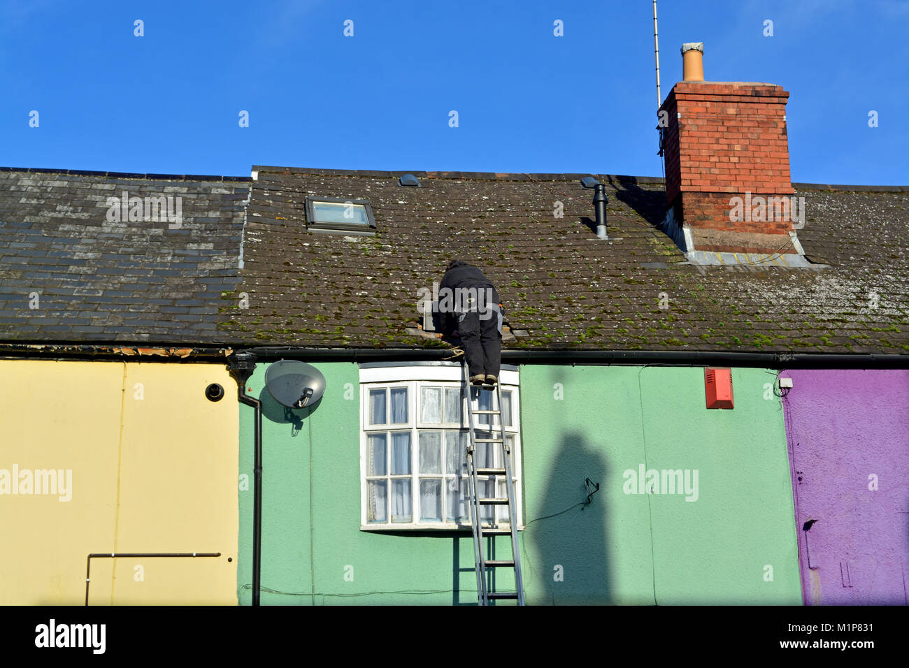 Un copritetti la riparazione di un tetto di un colorato tradizionale casa inglese a Wellington, Somerset, Regno Unito Foto Stock