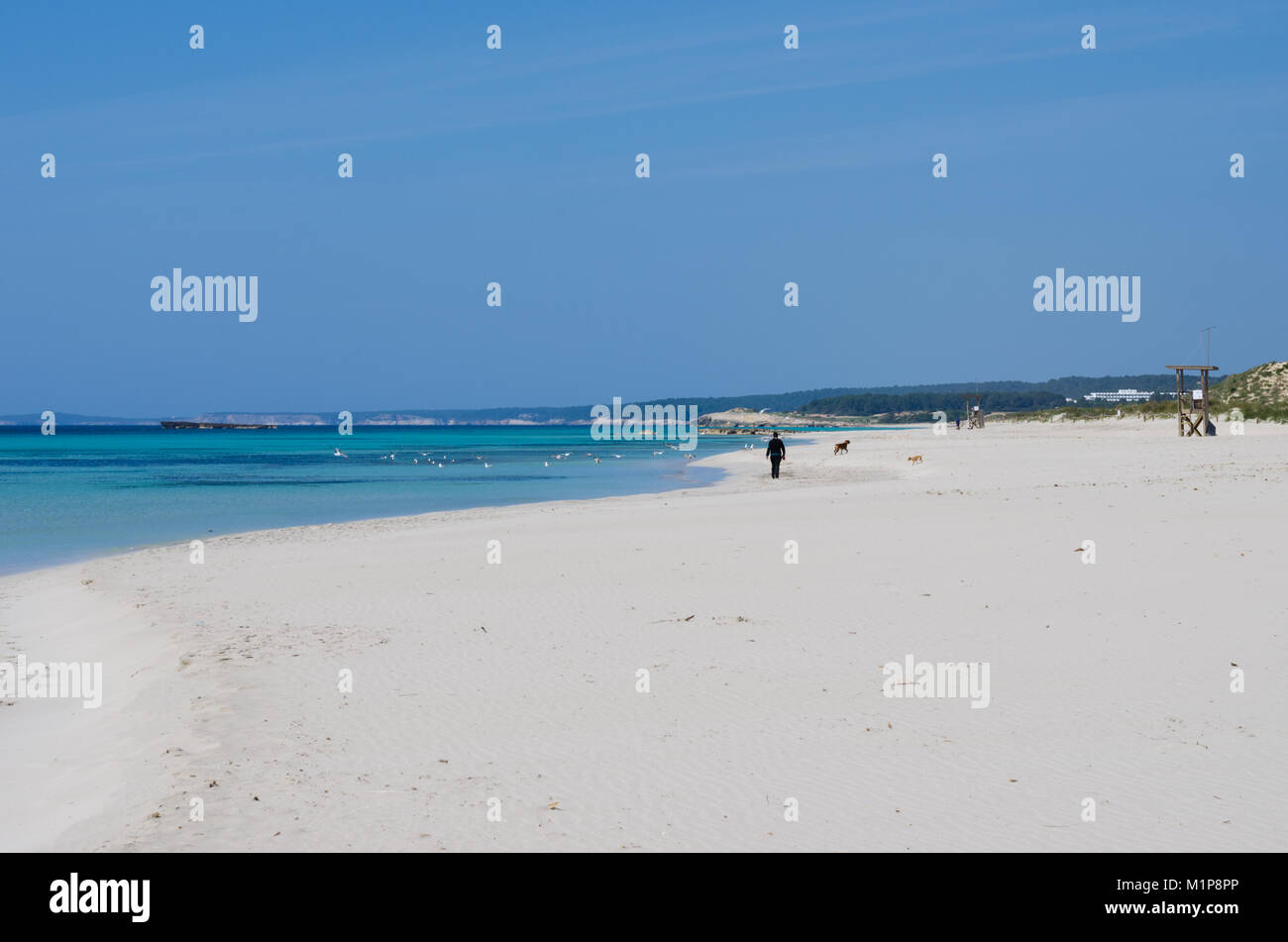 Fotografia di paesaggi di una delle più turistica e spiagge più grandi in Menorca. Un manto bianco avvolto in blu. Foto Stock