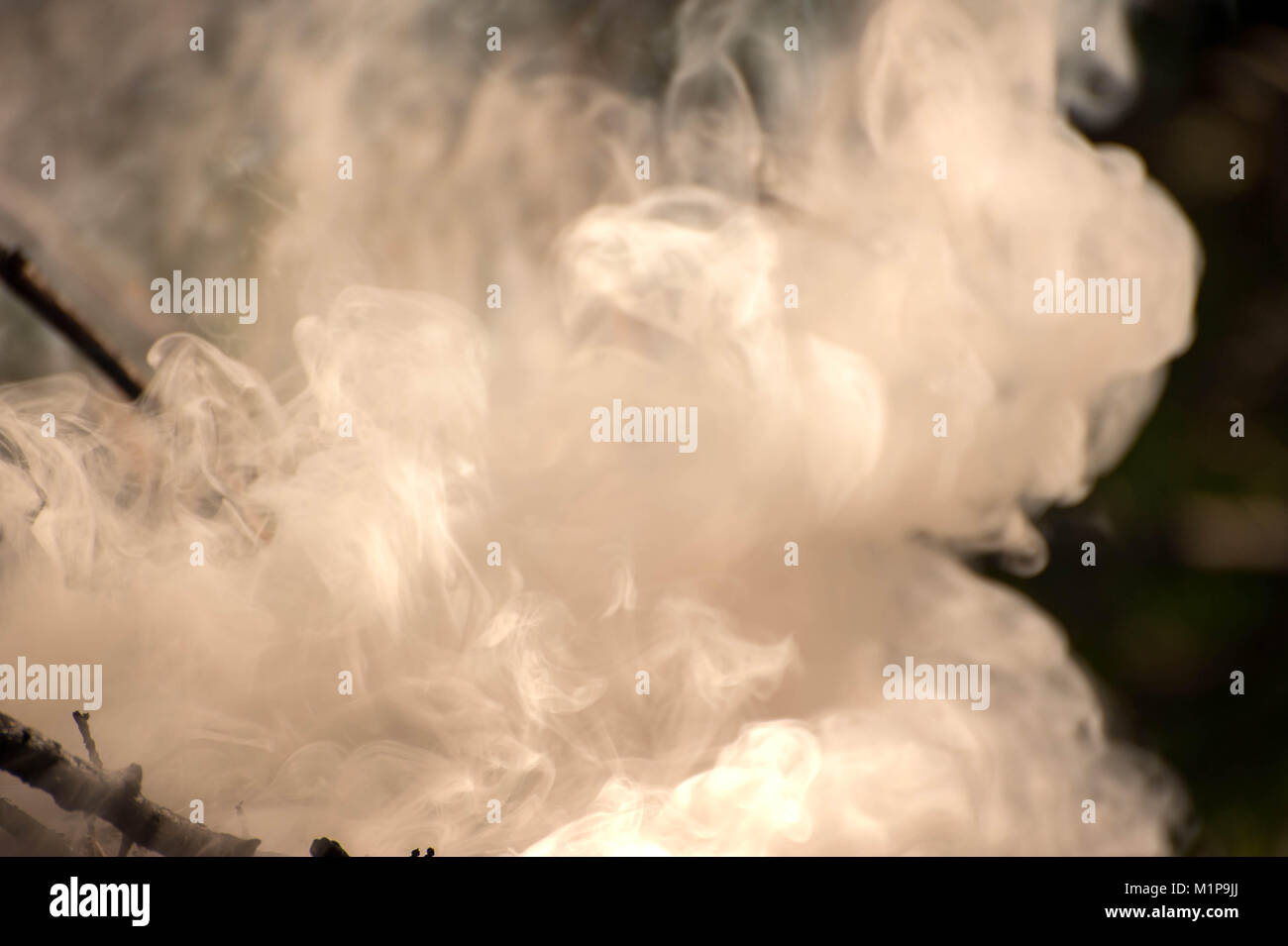 Accendere il fuoco. Macro shot di falò, fumo bianco, caldo incandescente del carbone e del fuoco. La masterizzazione di rami e legno. Le fiamme nel camino, casa accogliente, calore Foto Stock