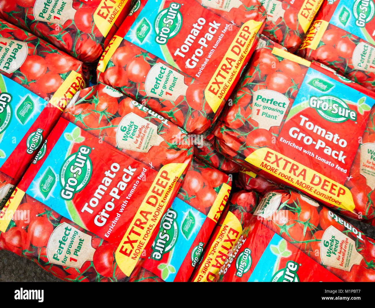 Pila di sacchi di pomodoro Gro-Sure crescere pack sacche profonde ideale per una pianta di pomodoro in un garden center Foto Stock